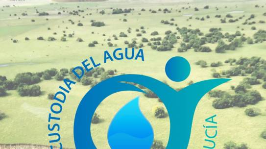 Llamado a Consultor Nacional Evaluación DiMusa